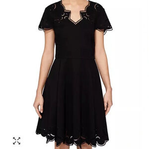 Brand new Ted Baker embroidered  dress